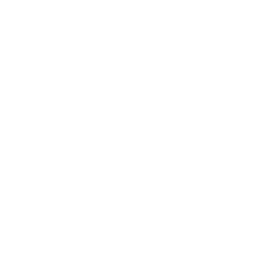 arrow-1-triangledown-white-1500-485_256.png