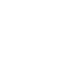 arrow-1b-rhombus-1500-white-2x-center-255_256.png