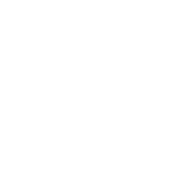 buttonbackground-triangle-white-29_256.png