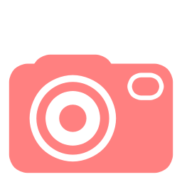 camera-profi-red-4-3_256.png