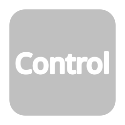 video-4-words-control-text-button-gray-788_256.png